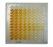 ELISA Kits Cell Biology (Part No. ELISAKitcell(2X96T))